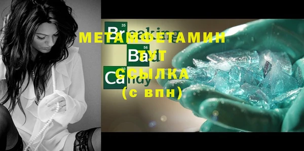 индика Вязьма