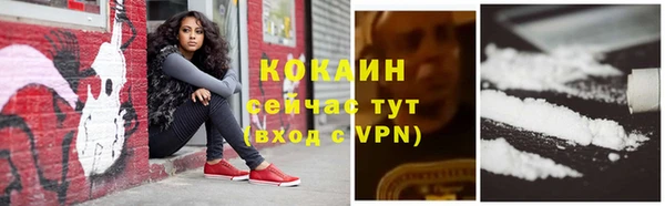 трава Осинники
