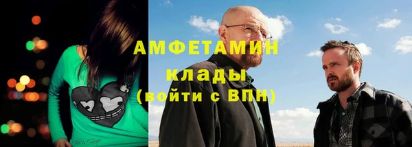 трава Осинники
