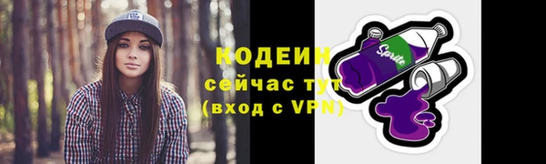 ГАЛЛЮЦИНОГЕННЫЕ ГРИБЫ Вязники